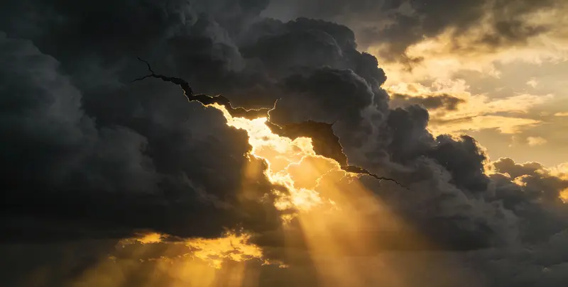 承德肺癌8基因突变检测（组织）图片1