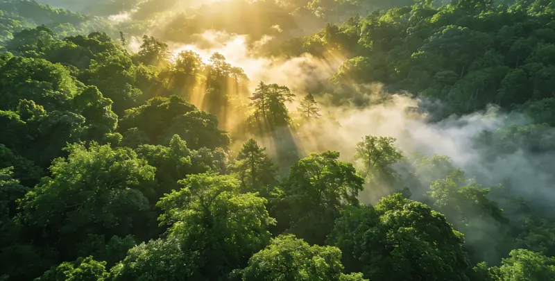 承德肺癌靶向120基因检测（组织）图片1